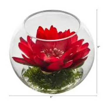 7a-lotus plant-5188320-51394.webp
